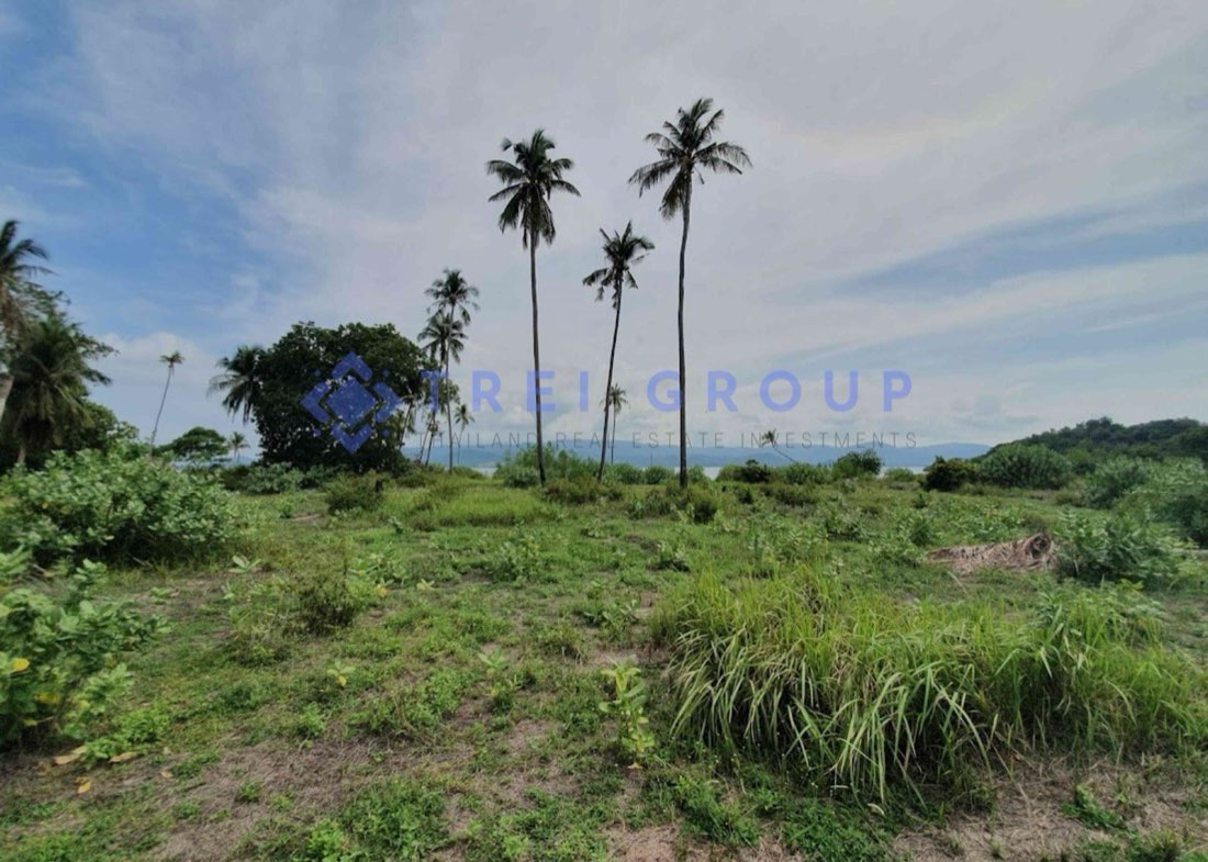 Private Island Land In Front Of Koh-Samui For Sale photo